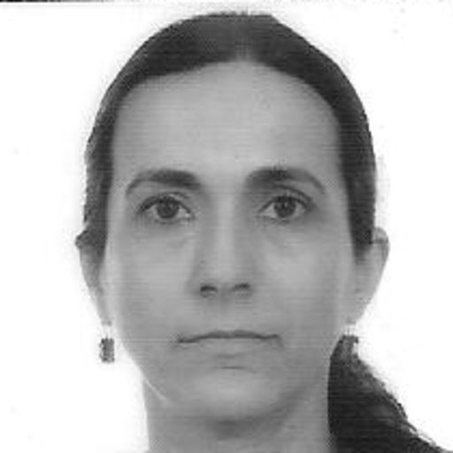 Lucilene Morandi