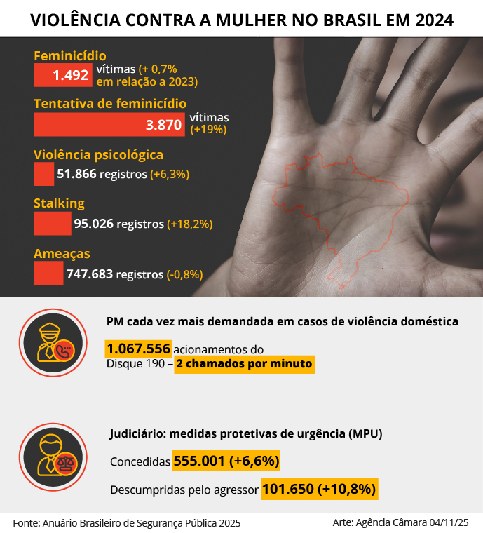 violencia mulher 2024